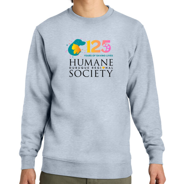DRHS - 125th Anniversary - Sweatshirt Thumbnail