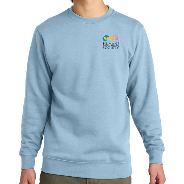 DRHS - 125th Anniversary - Sweatshirt Thumbnail
