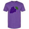 Unisex Softstyle® CVC T-Shirt Thumbnail